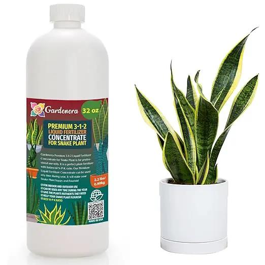 Premium Liquid Snake Plant Fertilizer - 3-1-2 Concentrate for Indoor Plants and Flowers by Gardenera | Organic Plant Food for Snake Plants - 32oz by GreenHaven Gardens