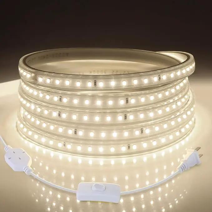 AIMENGTE Outdoor LED Strip Lights Waterproof, AC 110V, 360LEDs, 4000k LED Rope Lighting, Led Strip for Lawn Garden, Yard, Outside Christmas Decorations (9.9ft, Daylight) by GreenHaven Gardens