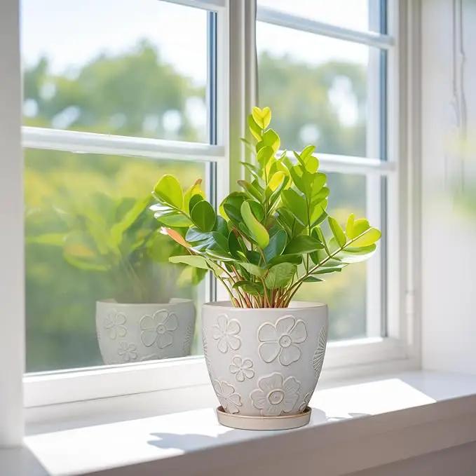 6 Inch Plant Pot with Drainage Hole and Saucer Ceramic Planter for Indoor Plant Flower Pot for Orchid Succulents Plants White by GreenHaven Gardens