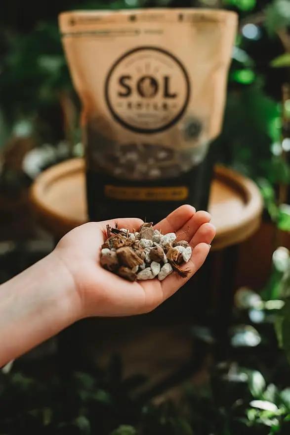 Sol Soils Succulent Gritty Mix 1 Gallon - Fast Draining Peat Moss Free Succulent Soil Potting Mix with Coconut Husk Chips, Perlite & Pumice by GreenHaven Gardens