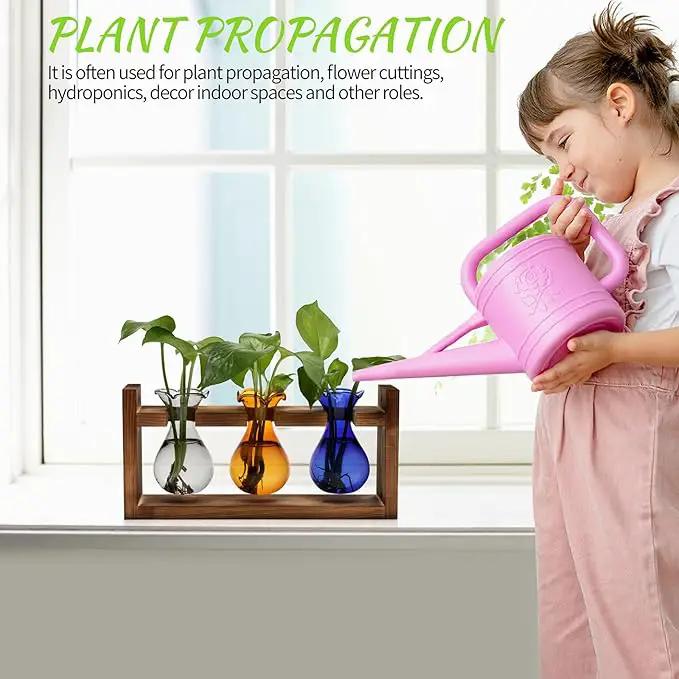 Plant Propagation Station Plant Terrarium Unique Birthday Gifts for Women Plant Lovers Home Office Decor Planter with Wooden Stand - 3 Bulb Glass Vase by GreenHaven Gardens