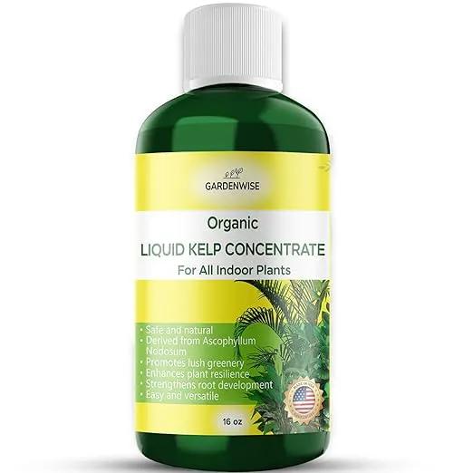 Organic Premium Kelp Seaweed Fertilizer - Liquid Hydroponics Fertilizer - Liquid Plant Food - Nutrient-Rich Soil Enhancer - Natural Plant Food for All Indoor Plants (16 oz) by GreenHaven Gardens