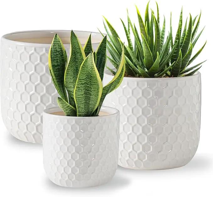 Docrin Plant Pots Indoor with Drainage: 6.4+5.3+4 Inch Ceramic Flower Pots for Plants - Set of 3 Modern Decorative Planters for House/Office/Gift - White Honeycomb by GreenHaven Gardens