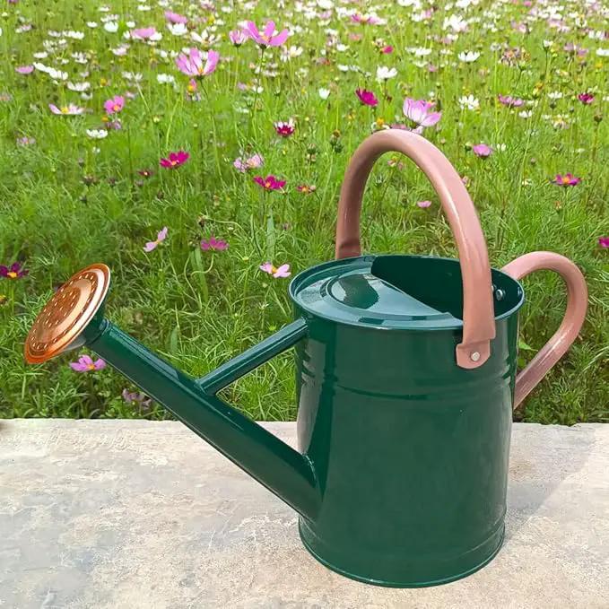 Metal Watering Can for Outdoor and Indoor Plants, Watering Can Decor, 1 Gallon (NewGreen) by GreenHaven Gardens