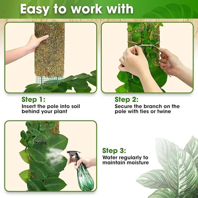 DUSPRO 59’’ Flat Mesh Moss Poles for Climbing Plants Monstera Flat Stacks for Tall Plant with Real Moss Moss Pole for Indoor Plants Plant Stick Support Tall Indoor Plants Support Stakes (1pc., 59'') by GreenHaven Gardens