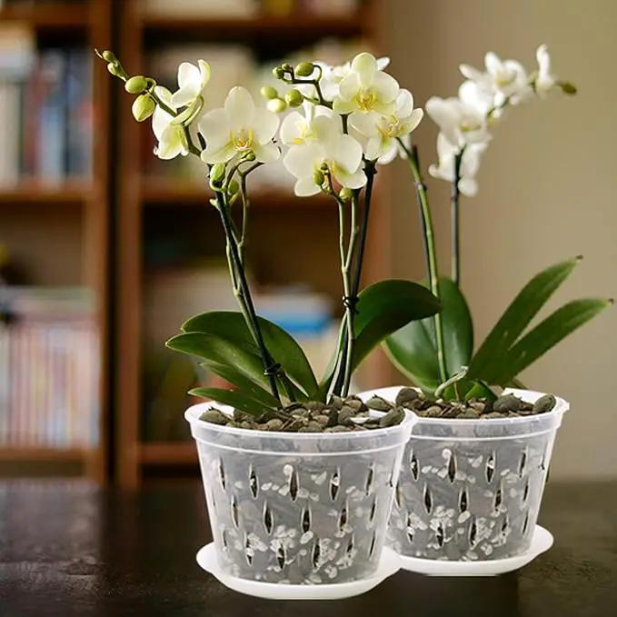 Orchid Pot, 8 Inch 4 Pack Orchid Pots with Holes and Saucers, Clear Plastic Orchid Pots by GreenHaven Gardens