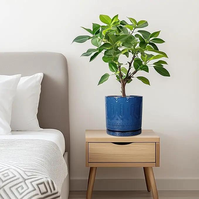 6 Inch Plant Pot - Ceramic Planter for Outdoor Plants Indoor Plant Pot with Drainage Holes and Saucer Succulent Pot Modern Round Flower Pot for House Room Decor Blue by GreenHaven Gardens