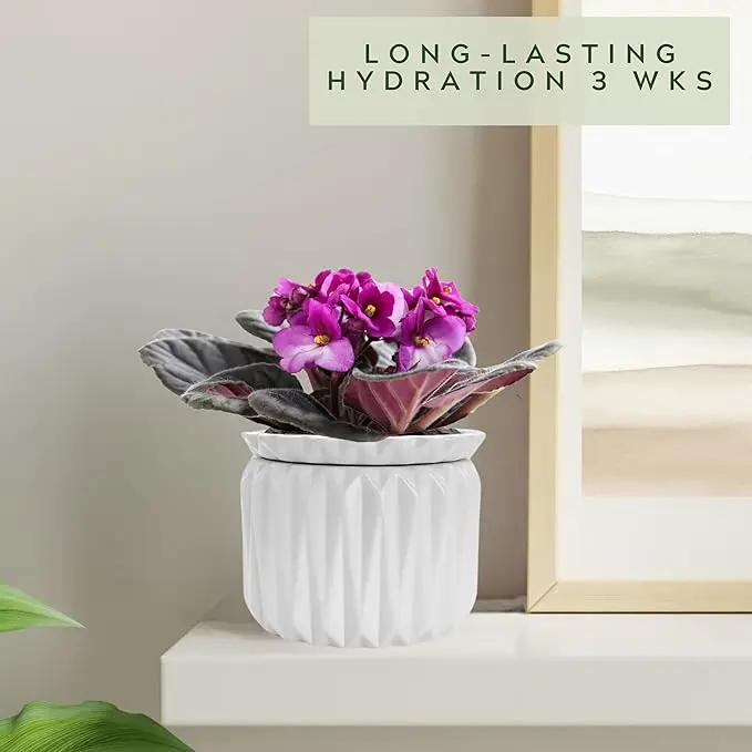 6 inch Self Watering Pot for Indoor Plants, African Violet Pot Ceramic, Flowers Planter (4 inch Opening), Holds 3 Weeks of Water (2 Pack White) by GreenHaven Gardens
