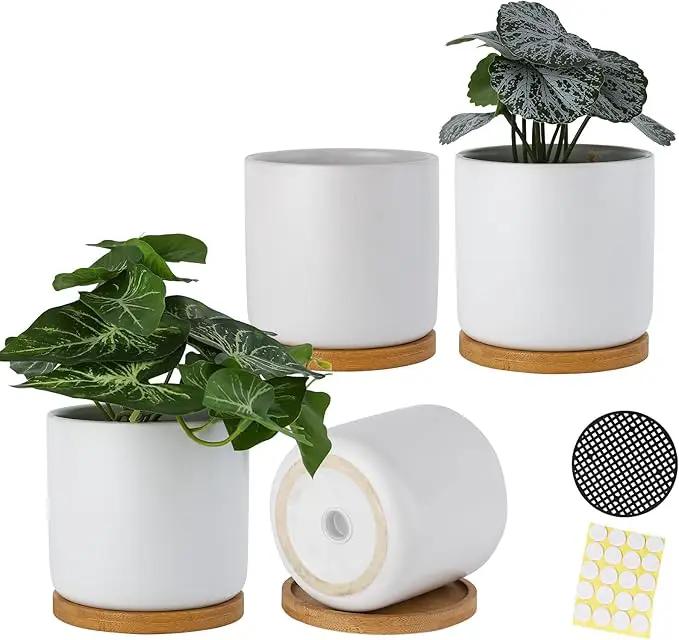 4 Inch Ceramic Plant Pots with Drainage Holes and Trays, Adorable Small Cylinder Flower Planter Pot with Saucers for Indoor Plants, Succulent, Snake Plants, Cactus & Herbs, White, Set of 4 by GreenHaven Gardens