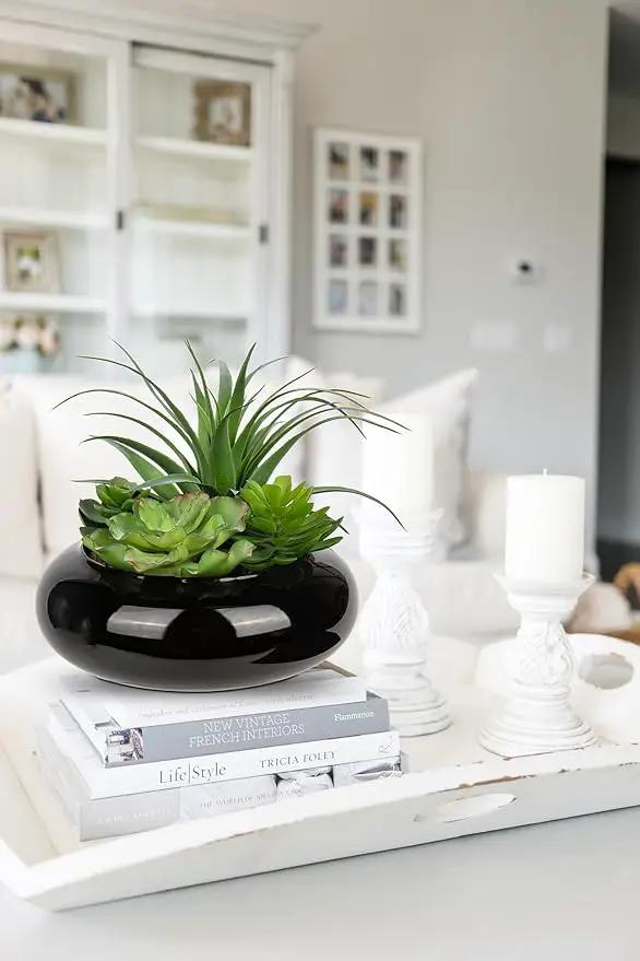 Large Artificial Succulents Plants Faux Succulents in Pots Fake Succulent Arrangement Potted Plants with Black Ceramic Pot for Office Desk Bathroom Shelf Living Room Indoor & Outdoor Home Decor by GreenHaven Gardens