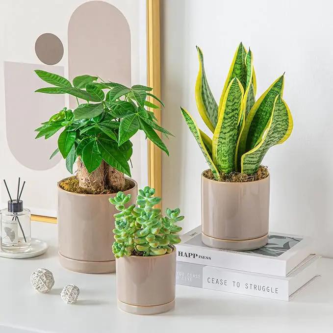 vancasso Ceramic Plant Pots, 3 Piece Planters for Indoor Plants, 4.25+5.25+6.25 Inch Flower Pots with Drainage, Plant Pots Indoor for Succulent, Pothos, Snake Plant and Money Tree, Etc (Gray) by GreenHaven Gardens
