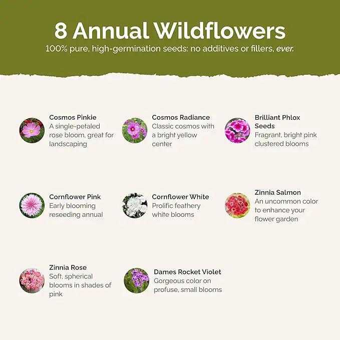 Eden Brothers Tickled Pink Flower Mixed Seeds for Planting, 5 lb, 2,400,000+ Seeds with Cosmos, Cornflower, Zinnia | Attracts Pollinators, Plant in Spring or Fall, Zones 3, 4, 5, 6, 7, 8, 9, 10 by GreenHaven Gardens