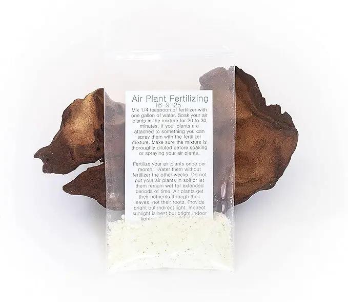 Grab Bag Pack Small & Medium Air Plants - Fertilizer Packet - Wholesale - Bulk - Live Tillandsia - Easy Care House Plant - Succulents, 10 Count (Pack of 1) by GreenHaven Gardens