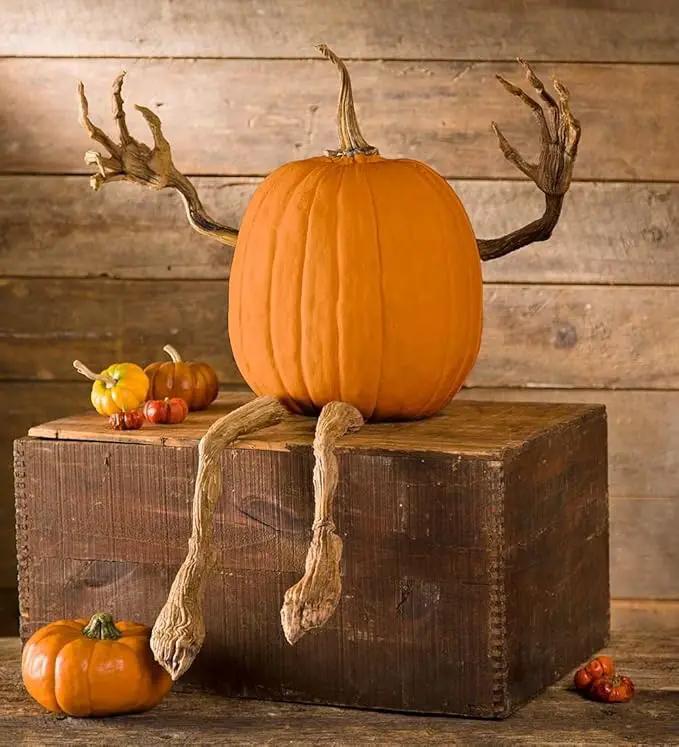 Plow & Hearth Set of 4 Bendable Pumpkin Arms and Legs | Create Whimsical Halloween Decor | Spooky Vine Design | Includes 2 arms and 2 Legs, Iron, Orange by GreenHaven Gardens