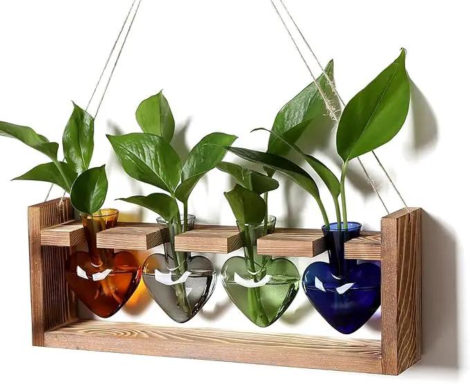 Plant Propagation Stations Heart Plant Terrarium Kit Gift for Women Plant Lover Glass Vases by GreenHaven Gardens
