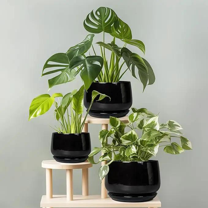 G EPGardening Ceramic Planter 7 Inch - Ceramic Pot for Plants with Drainage and Saucer, Round Plant Pots, Modern Indoor Outdoor Planter, Home Decor, Garden Gifts, Black by GreenHaven Gardens