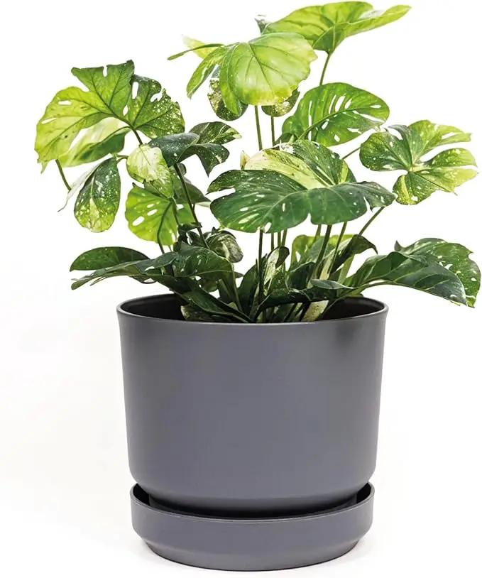 Elly Décor 12 inch Plastic Cylinder Planter Pot with Self-Watering Saucer and Drainage Hole,Lightweight & Extremely Durable, 12"x 12", Gray by GreenHaven Gardens