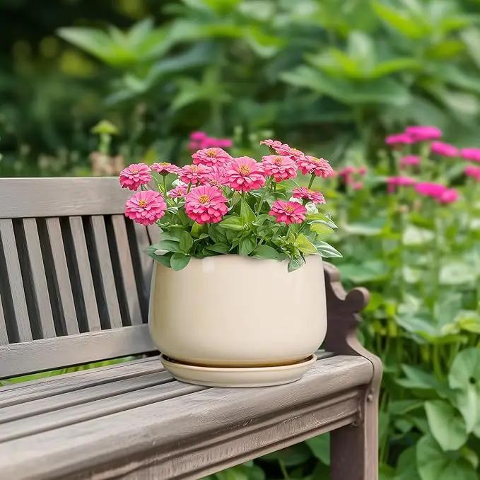 G EPGardening Ceramic Planter - 7 Inch Plant Pots with Drainage and Ceramic Tray, Flower Pots for Indoor Plants, Round Outdoor Planter, Room Decor, Gifts for Plant Lovers, Beige by GreenHaven Gardens