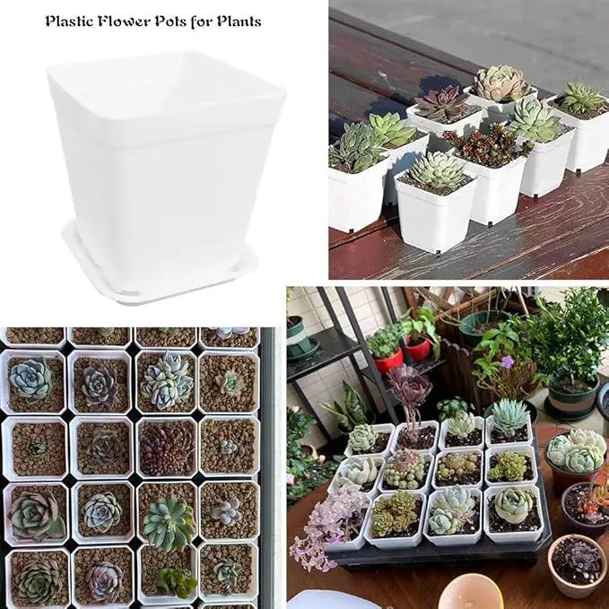 OJYUDD 3inch White Square Plastic Pots with Saucer, Drainage Hole, 24 Pcs, for Flower/Plant, Home,Company,Office and Garden(White) by GreenHaven Gardens