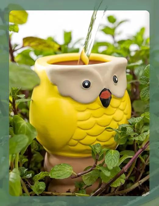 4 Pack Plant Watering Devices, Animal Shape Terracotta Watering Spikes, Vacation Self Watering Planter Insert, Automatic Plant Waterer for Indoor Outdoor Plants (Owl-Grey Eye) by GreenHaven Gardens