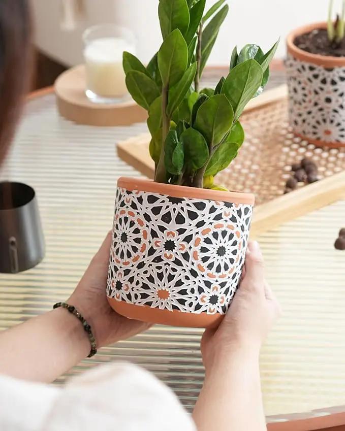 Ceramic Flower Pots for Indoor Plants Set of 2, 5 Inch Boho Plant Pot with Drainage Holes,Modern Planter for Decora Succulents/Snake Plant/Orchid/Peace Lily/House Plants,Terracotta by GreenHaven Gardens