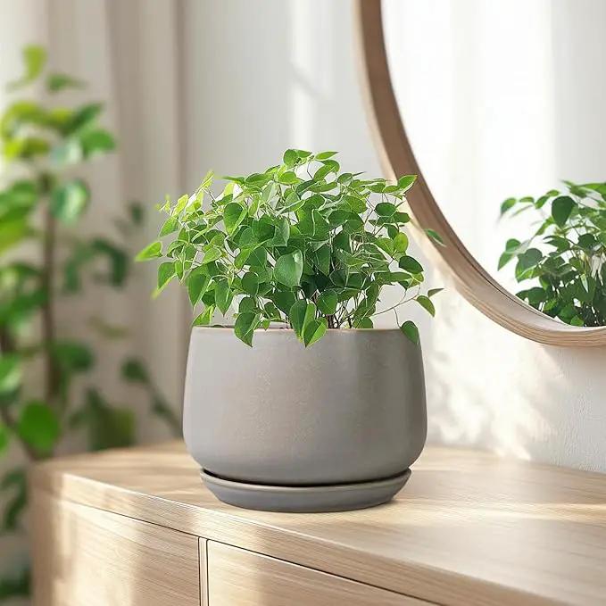 G EPGardening Ceramic Pots for Plants 7 Inch - Large Ceramic Planters for Indoor Plants Outdoor Modern Flower Pot with Drainage Holes and Saucer for Office Garden Patio Grey by GreenHaven Gardens