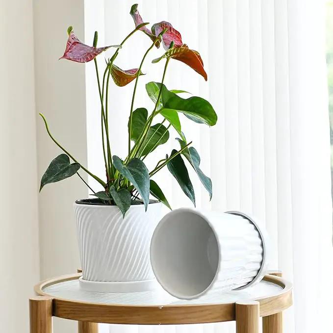 Ton Sin Plant Pots,White 6 Inch Flower Pots for Plants,Ceramic Planter with Drainage Holes,Indoor Planter Pots with Saucer,Outdoor Garden Pots (White, 4 Pack) by GreenHaven Gardens