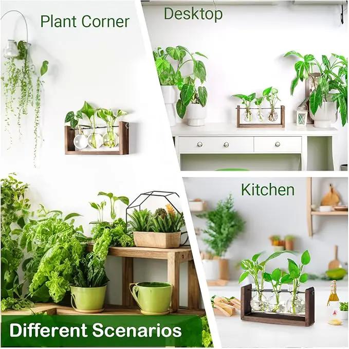 Ivolador Wall Hanging Plant Propagation Station,Bulb Plant Terrarium with Wooden Stand,Unique Gardening Gifts for Women Plant Lovers,Hydroponic Indoor Planter Home Office Decor-3 Bulb Glass Vases by GreenHaven Gardens