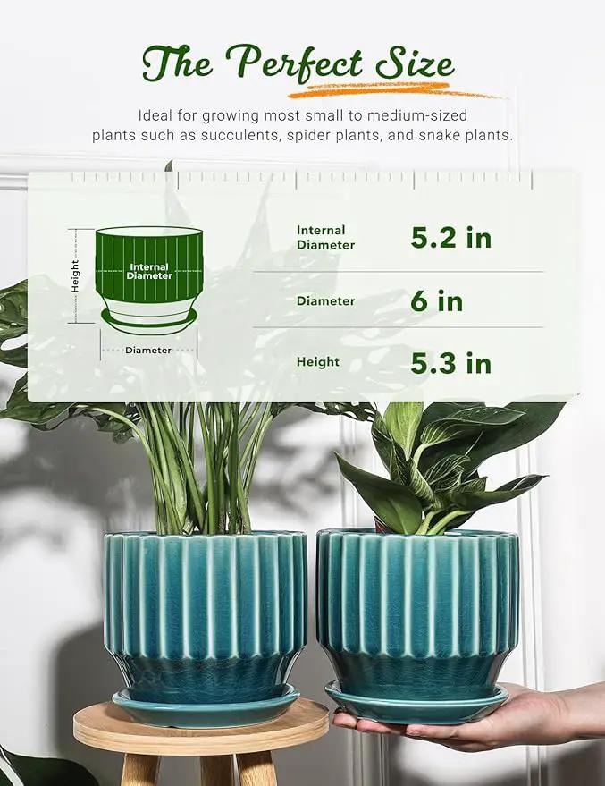 AISBUGUR Plant Pots 6 inch Ceramic Pots for Indoor Plants Set of 2 Flower Pots Unique Crackle Glaze Design Plant Pots with Drainage Hole and Saucer Come with Drainage Nets (Aqua Green) by GreenHaven Gardens
