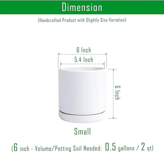 D'vine Dev 6 Inch Ceramic Planter Pot with Drainage Hole and Saucer, Indoor Cylinder Round Flower Pot, White, 94-O-C-1 by GreenHaven Gardens