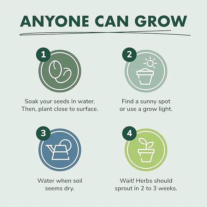 Indoor Herb Garden Seed Starter Kit - Herbal Tea Growing Kits, Grow Medicinal Herbs Indoors, Seeds for Planting, Soil, Plant Markers, Pots, Infuser, Planter Box, Gardening Gifts for Women by GreenHaven Gardens