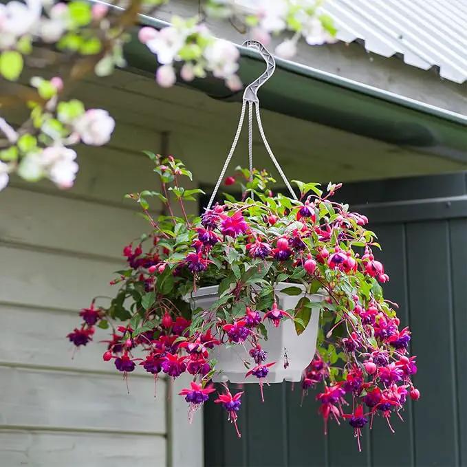 Roshtia 24 Pcs Hanging Plastic Planter Pot with Hook Flower Pots Baskets Hanging Nursery Planter Holder for Outdoor Indoor Plant Garden(Ceramic White,6.7 Inch) by GreenHaven Gardens