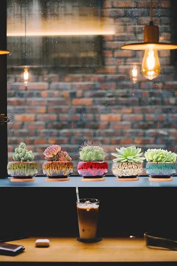 Cute Ceramic Succulent Garden Pots, Planter with Drainage and Attached Saucer, Set of 5 -Plants Not Included (Round) by GreenHaven Gardens