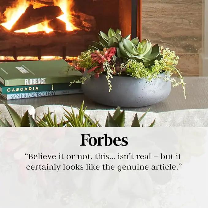 Faux Succulent Arrangement, Premium Artificial Indoor Plant Enhances Interior Design, Display on Any Surface in Your Home Adding an Inviting Touch of Nature, Grey Planter Pot Included by GreenHaven Gardens