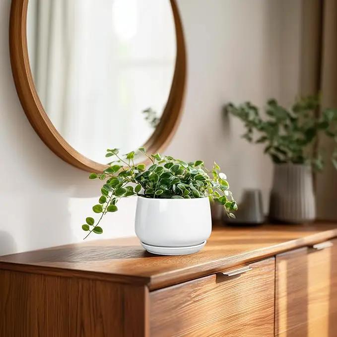 G EPGardening Ceramic Plants Pots - 4 inch Succulent Pots for Indoor Outdoor, Small Planter with Drainage Hole & Saucer, Round Planter, Modern Flower Pot, Office Decor, Plant Lovers Gifts, White by GreenHaven Gardens