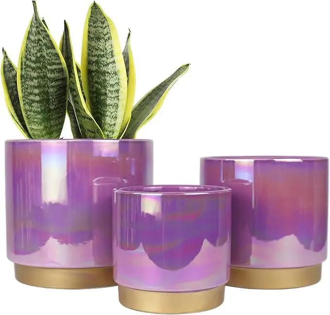 Gepege Ceramic Pots for Plants, Rainbow Pearl Glaze Planter with Drainage Hole, 6.0 inch+5.0 Inch+4.0 Inch. Indoor-Outdoor Large Round Succulent Orchid Flower Pots by GreenHaven Gardens