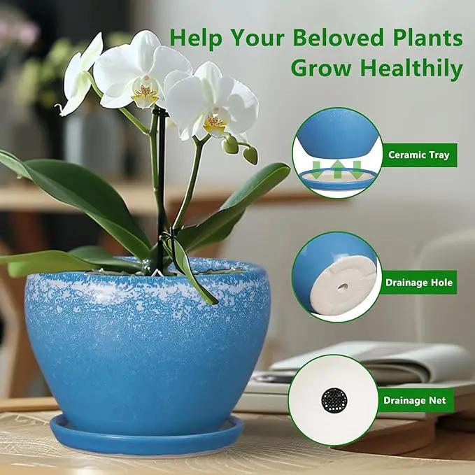 Ceramic Planter Pot 10 Inch - Ceramic Plant Pot for Indoor Outdoor Plants, Large Flower Pot with Drainage Hole and Saucer, Blue by GreenHaven Gardens