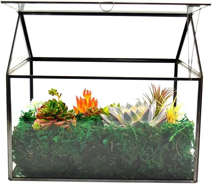 Black 1 Large Glass Plant Terrarium Kit with Lip Greenhouse for Succulents by GreenHaven Gardens