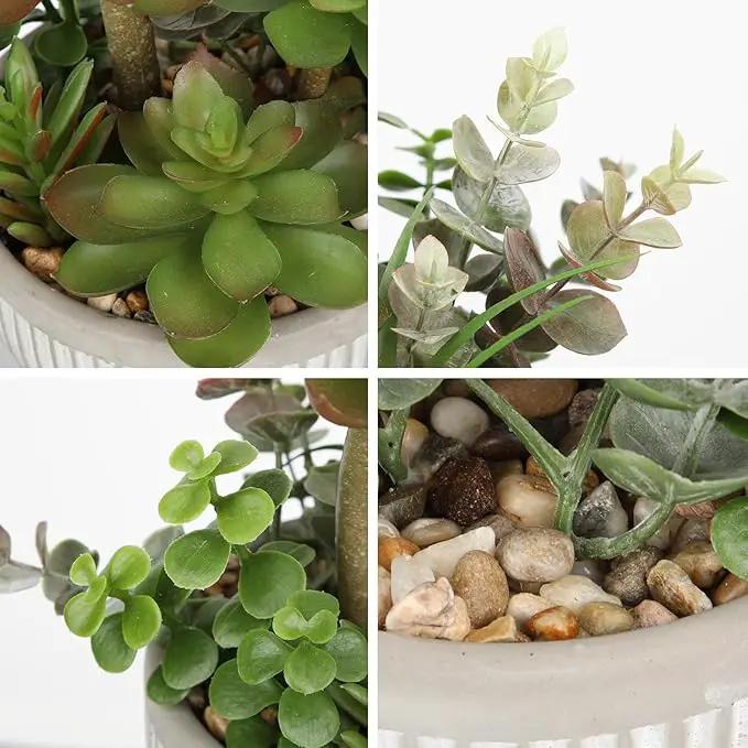 DILATATA Small Faux Plant Assorted Fake Succulents Plants Faux Succulents Arrangement Cement Potted Desk Plants Small Fake Plants for Home Table Office Bathroom Shelf Living Room Decor by GreenHaven Gardens