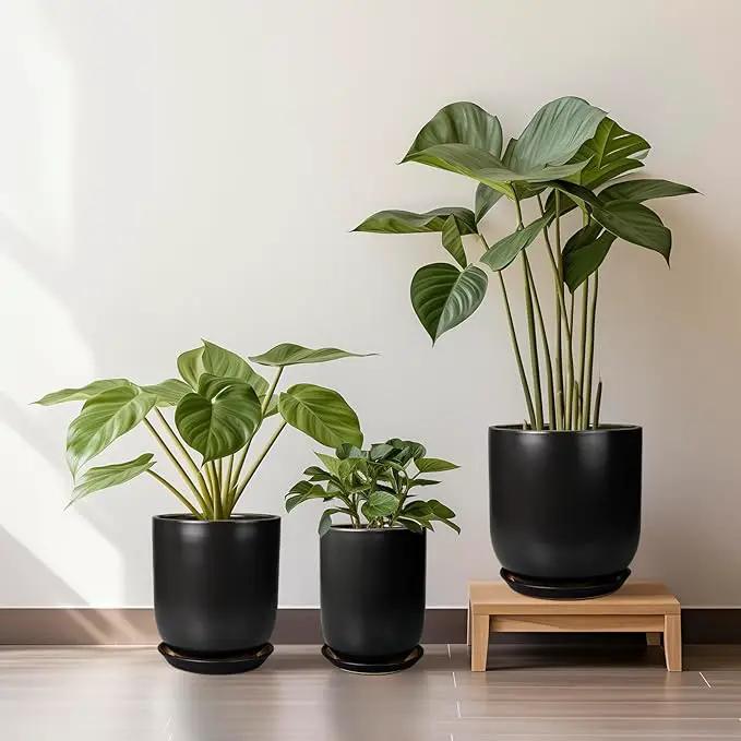 Ceramic Planter 10 Inch - Ceramic Pot for Indoor Plants Outdoor Plant Pot with Drainage Hole and Saucer Cylinder Flower Pot Black by GreenHaven Gardens