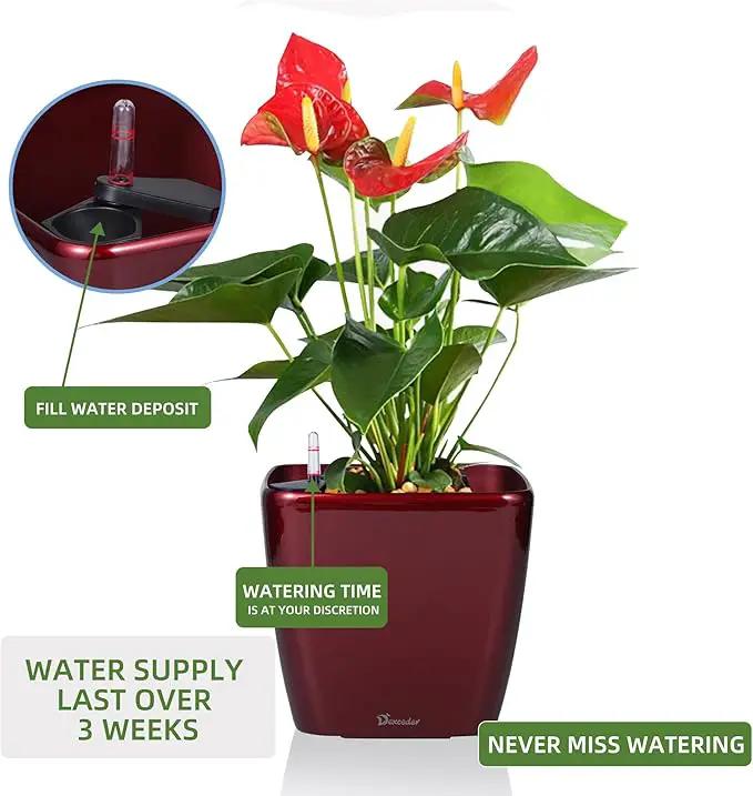 Dexceder 11x10 Self Watering Planter Indoor Outdoor, Inner Mat Design, Thickened Table Flower Plant Pot with Water Level Indicator (Red High Gloss) by GreenHaven Gardens
