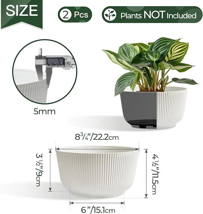 T4U Plant Pots 8 Inch, 2 Pack Self Watering Indoor Planter with Drainage Hole, Shallow Plant Pot, Home Decor Flower Pots for Plants, Herbs, Garden, White by GreenHaven Gardens