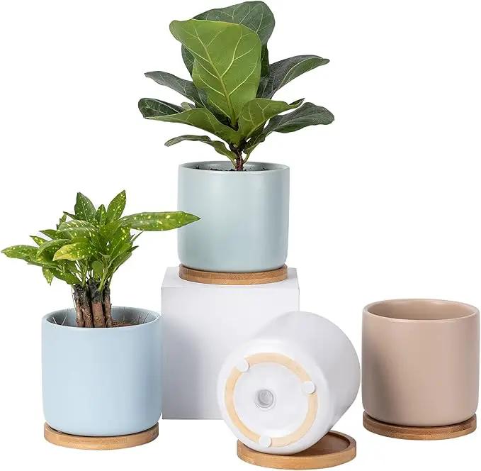 OMAYKEY Succulent Pots, 4 Inch Ceramic Planter Plant Pot with Tray, Drainage Hole & Mesh Pad for Indoor Flowers, Cactus, Herbs, Aloes - Cool Multicolor, Set of 4 (Plant Not Included) by GreenHaven Gardens