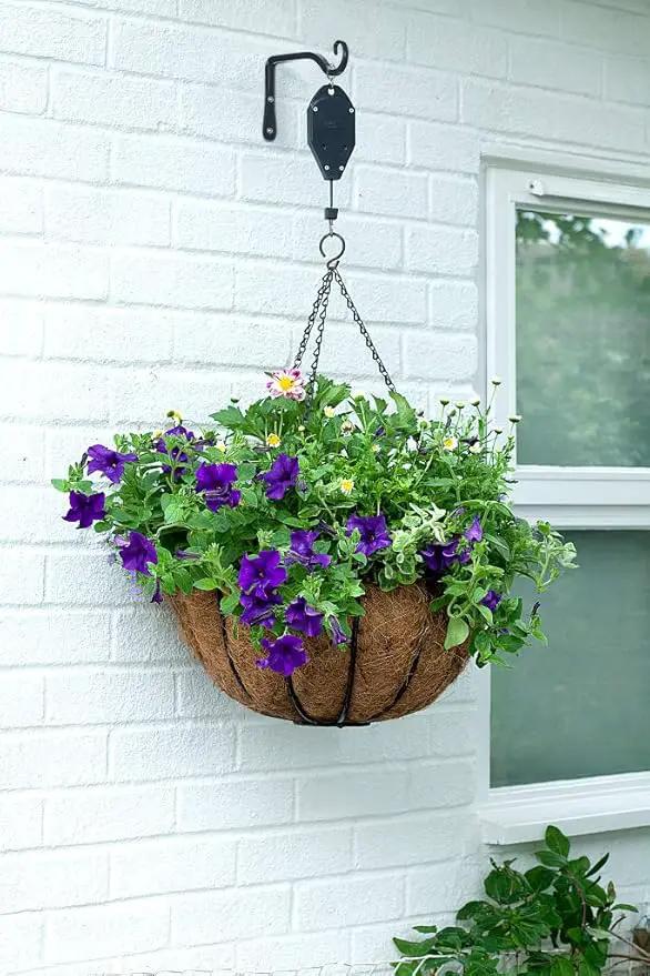 Mkono Hanging Plant Bracket 6 inch Metal Wall Plant Hook Decorative Plant Hanger for Bird Feeders, Planters, Lanterns, Wind Chimes, Home Decor Indoor Outdoor 4 Pack, Black by GreenHaven Gardens