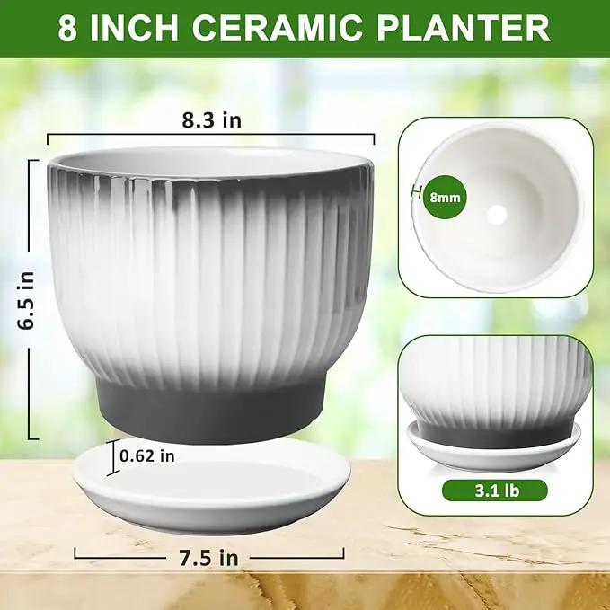 8 Inch Plant Pot, Ceramic Planter with Drainage and Saucer, Ceramic Pots for Plants, Indoor Plant pots,Ceramic Flower pots(Black + White, Plants NOT Included) by GreenHaven Gardens
