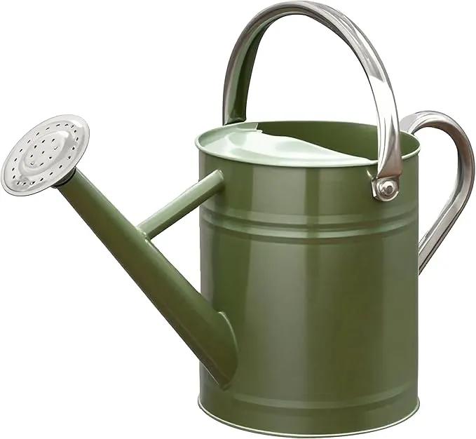Metal Watering Can, One Gallon Watering Cans Stainless Steel for Outdoor Indoor Garden Plants Watering (Emerald Green) by GreenHaven Gardens