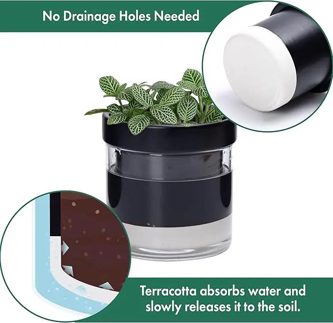Phoenix Vine 4 Inch Self Watering Planter Pot, Black Terracotta Clay Pot with Glass Reservoir for Indoor Plants, Herbs, Flowers, Set of 3, 52-C-E-3 by GreenHaven Gardens