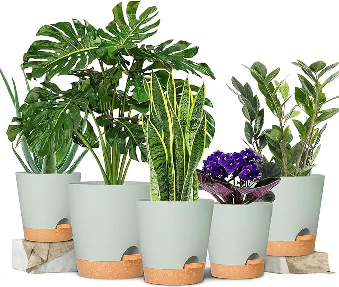 GARDIFE Plant Pots 7/6.5/6/5.5/5 Inch Self Watering Planters with Drainage Hole, Plastic Flower Pots, Nursery Planting Pot for All House Plants, African Violet, Flowers, and Cactus,Green by GreenHaven Gardens