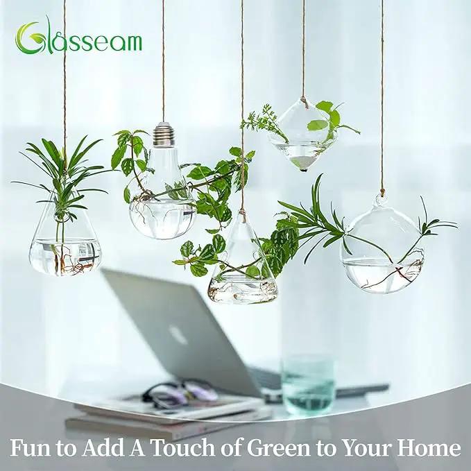 Glasseam Hanging Planters Glass Terrarium: 5Pcs Modern Plant Propagation Stations Hydroponic Wall Vases for Air Plants Flowers Indoor Window Home Decor by GreenHaven Gardens