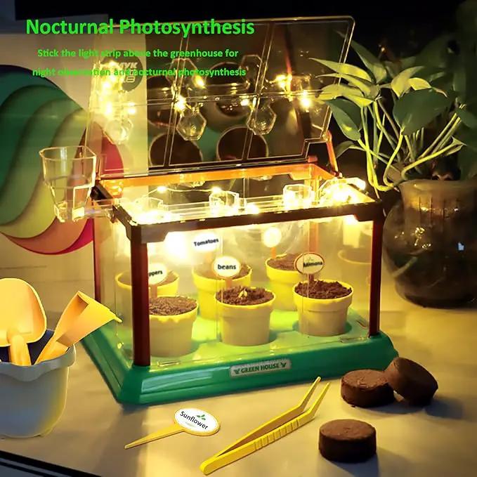 Kids Gardening Kit Greenhouse Growing Terrarium Kit Plant Growing Set Discovery Educational Gardening Gift for Boy & Girl by GreenHaven Gardens